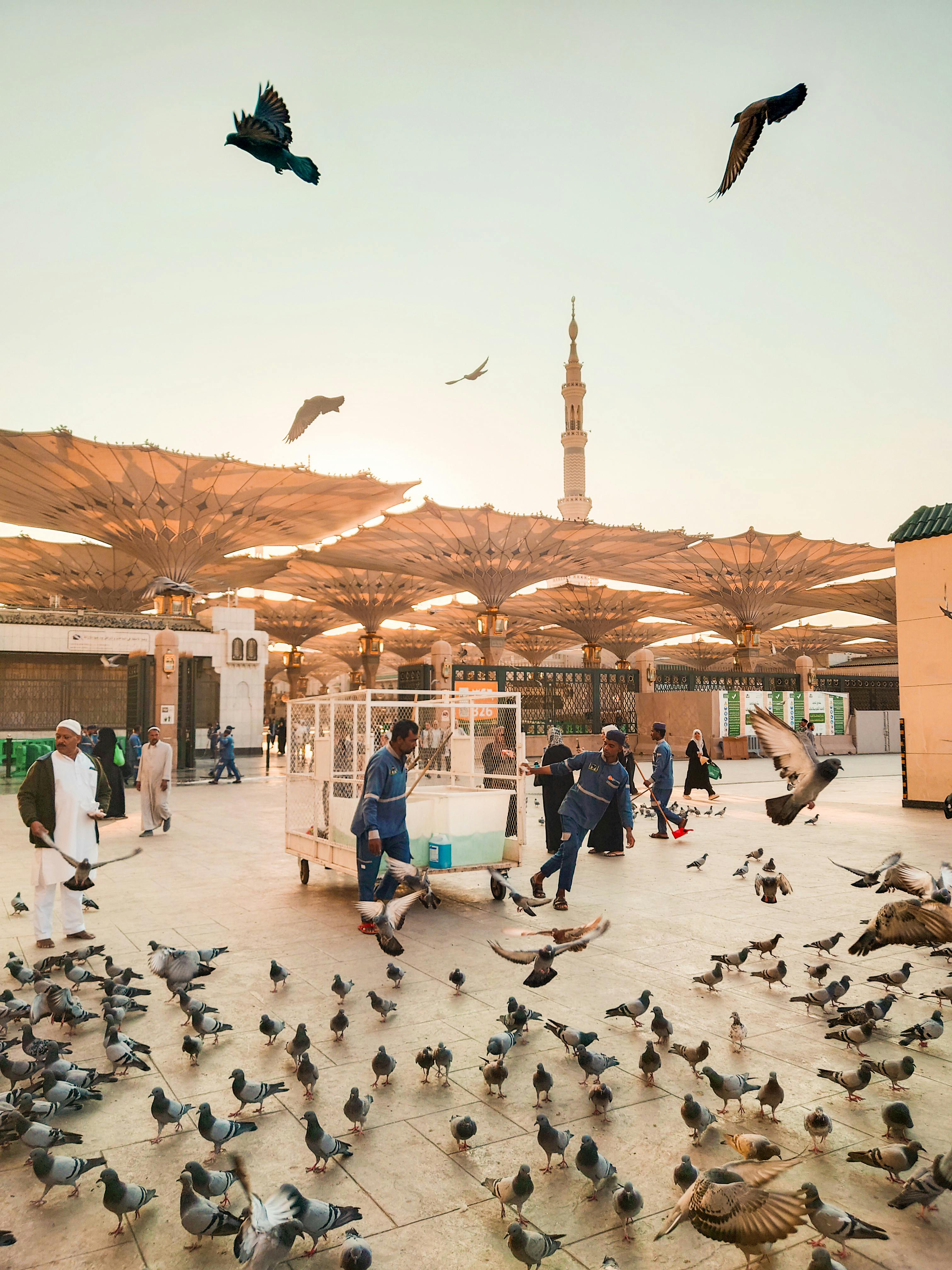 7 Best Places to Visit in Madinah for Umrah Pilgrims